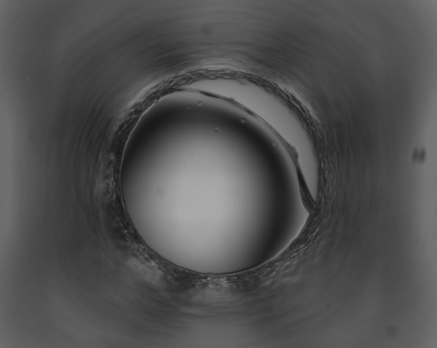 X0000091700968200708241219