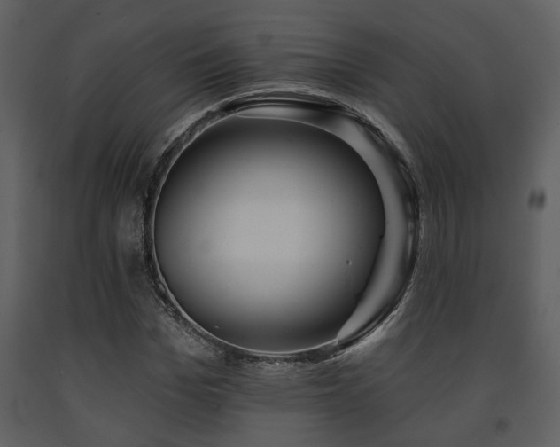 X0000091700969200708241219