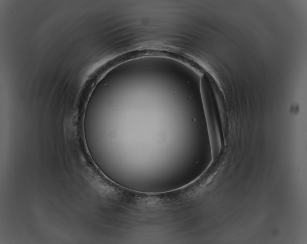 X0000091700971200708241219