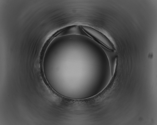 X0000091700972200708241219