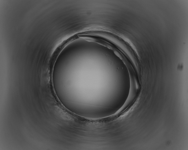 X0000091700973200708241219