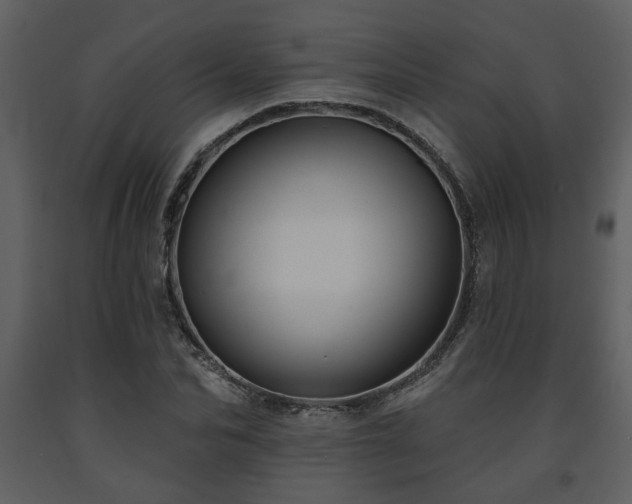 X0000091700974200708241219