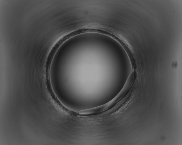 X0000091700976200708241219