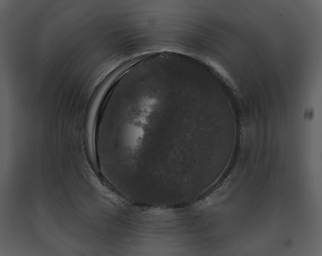 X0000091700977200708241219