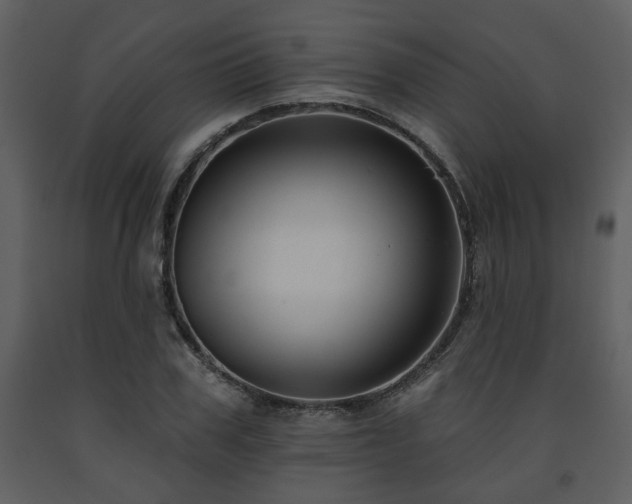 X0000091700979200708241219