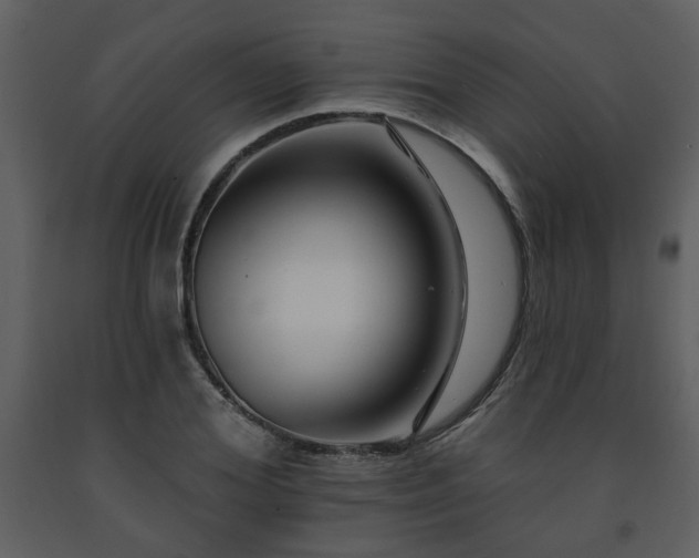 X0000091700980200708241219