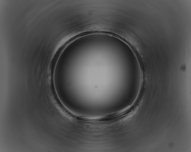 X0000091700981200708241219