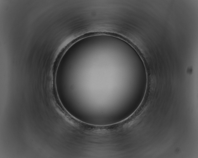 X0000091700982200708241219