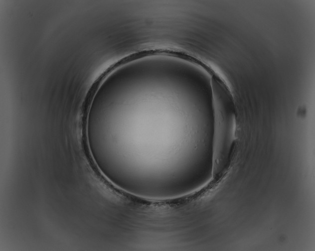 X0000091700983200708241219