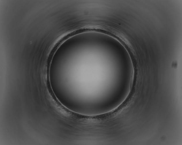 X0000091700984200708241219
