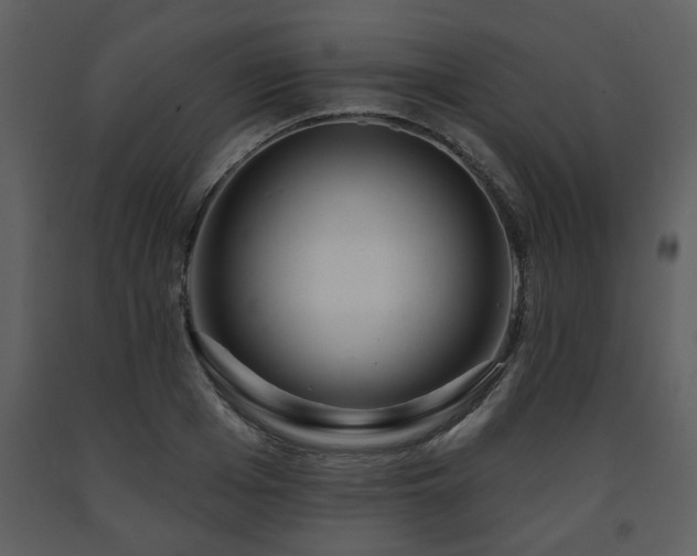 X0000091700985200708241219