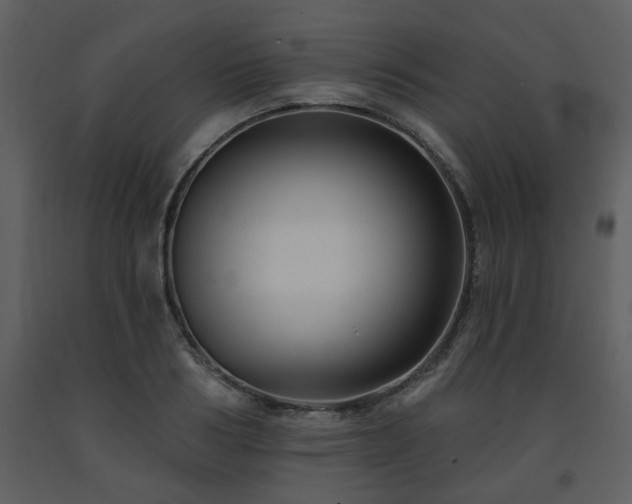 X0000091700986200708241219
