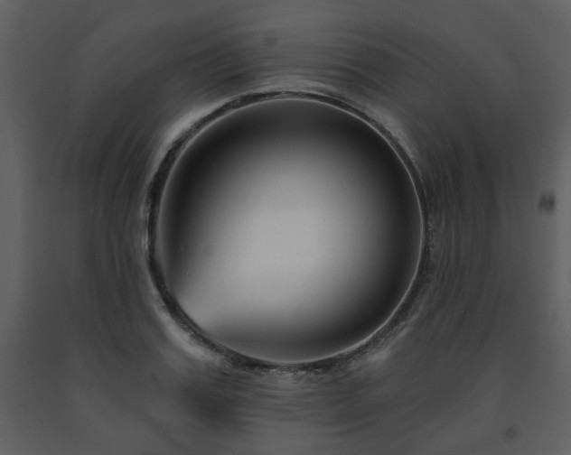 X0000091700987200708241219