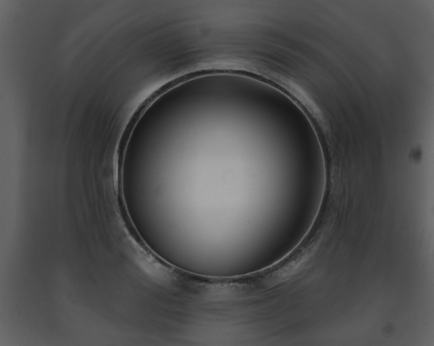 X0000091700988200708241219