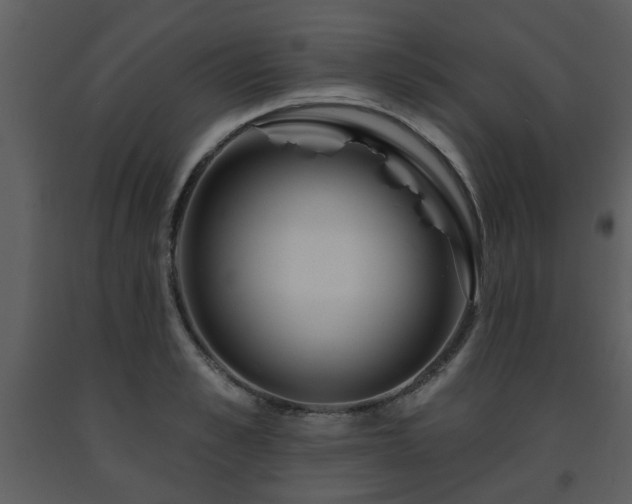 X0000091700989200708241219