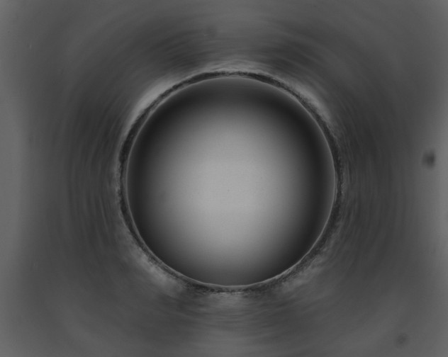 X0000091700990200708241219