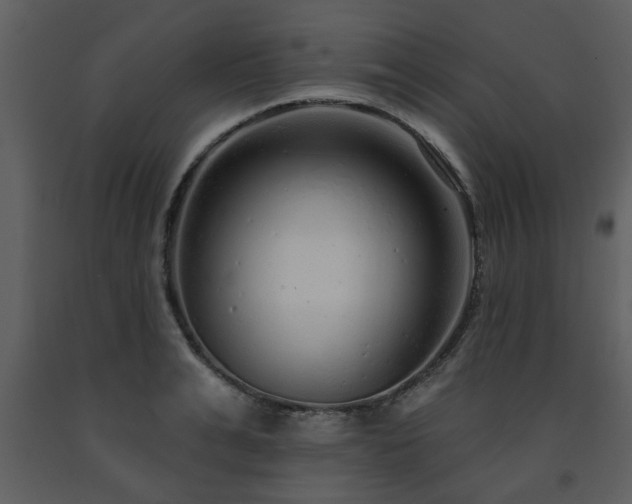 X0000091700991200708241219