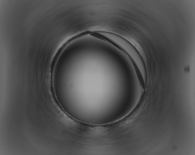 X0000091700992200708241219
