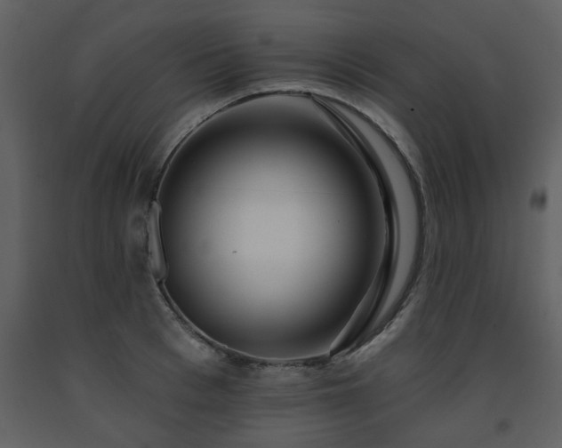 X0000091700993200708241219
