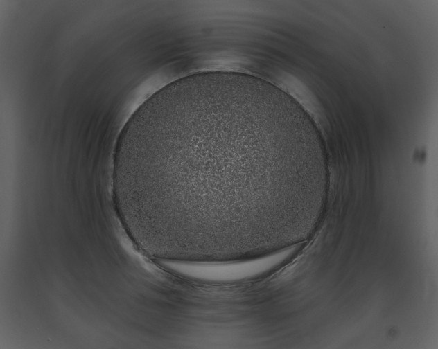 X0000091700994200708241219
