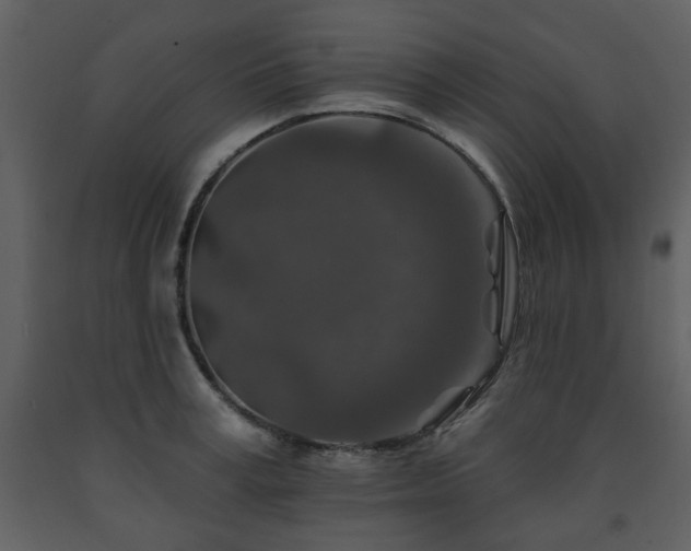 X0000091700995200708241219
