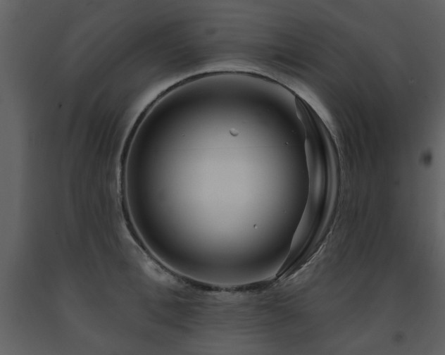 X0000091700996200708241219