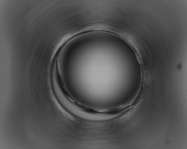 X0000091700997200708241219