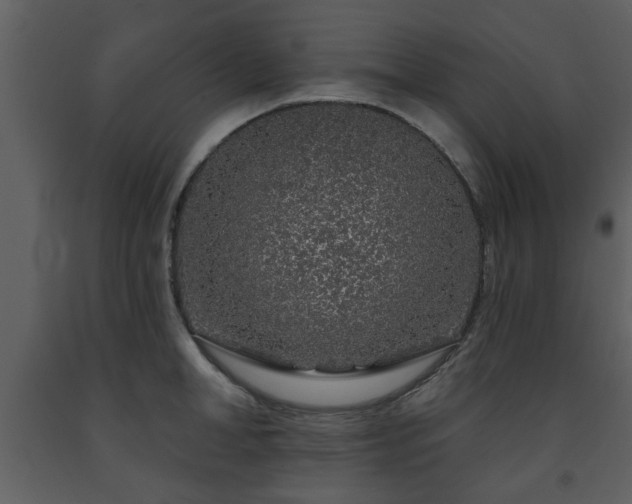 X0000091700998200708241219