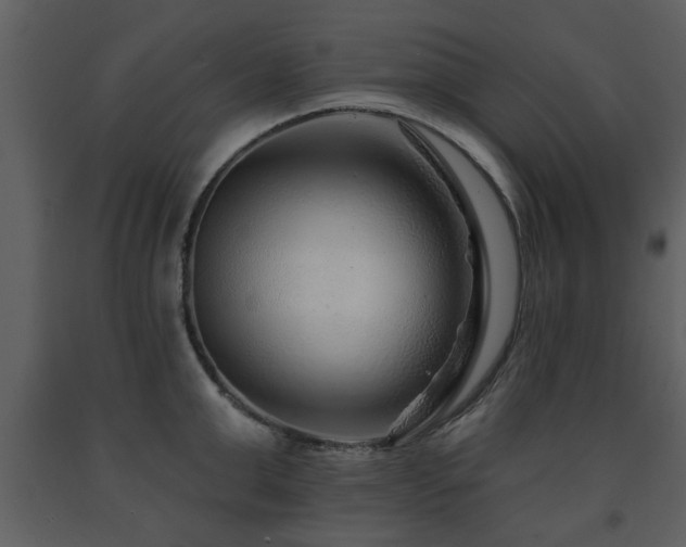 X0000091700999200708241219