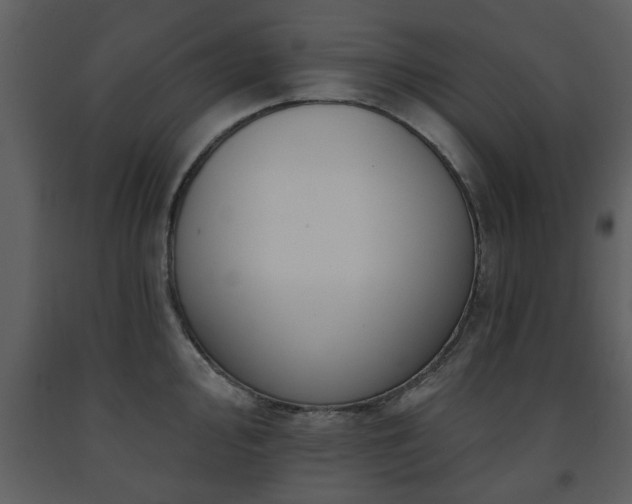 X0000091701000200708241219