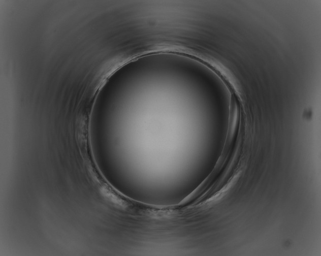 X0000091701001200708241219