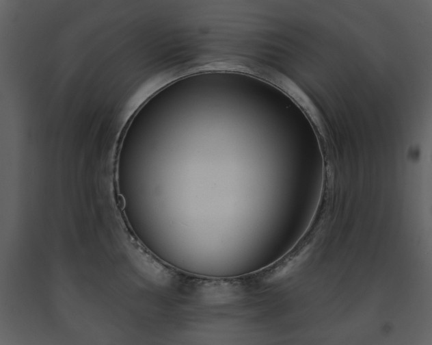 X0000091701002200708241219