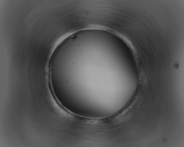 X0000091701003200708241219