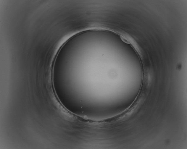 X0000091701004200708241219