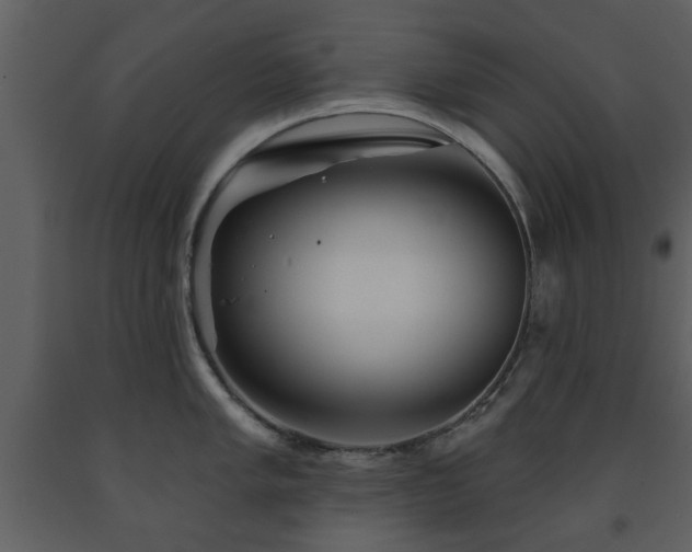 X0000091701005200708241219