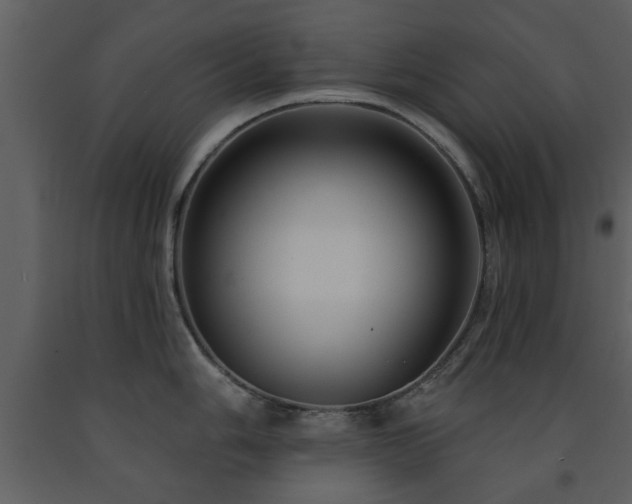 X0000091701006200708241219