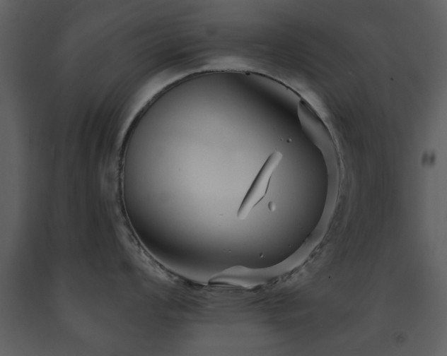 X0000091701008200708241219