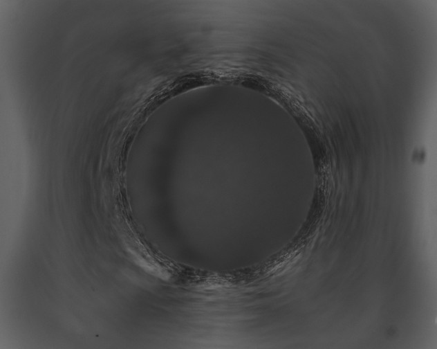 X0000091701009200708241218