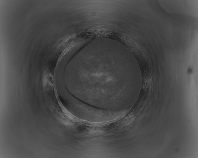 X0000091701010200708241218