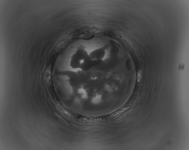 X0000091701011200708241218