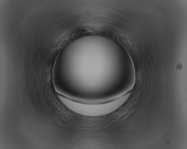 X0000091701012200708241218