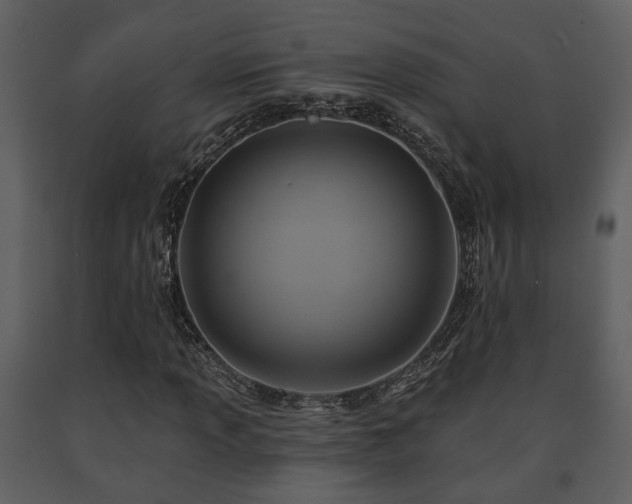 X0000091701013200708241218