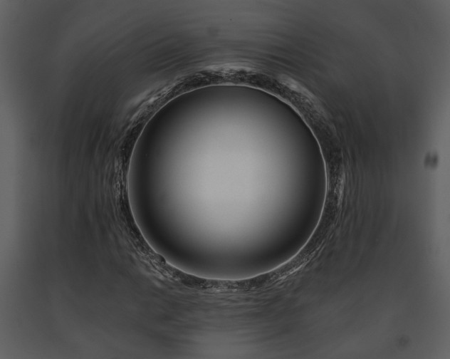 X0000091701014200708241218