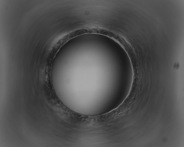 X0000091701016200708241218