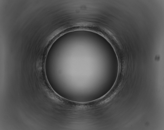 X0000091701017200708241218