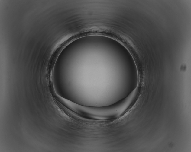 X0000091701018200708241218