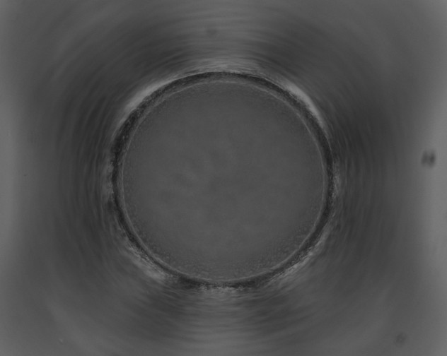 X0000091701019200708241218