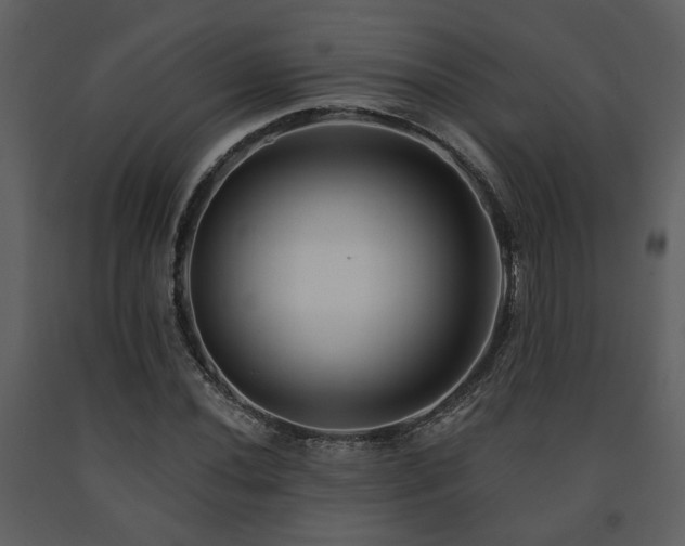X0000091701020200708241218