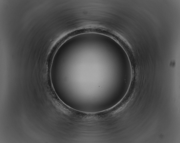 X0000091701021200708241218