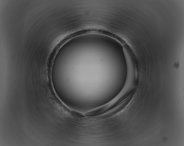 X0000091701022200708241218